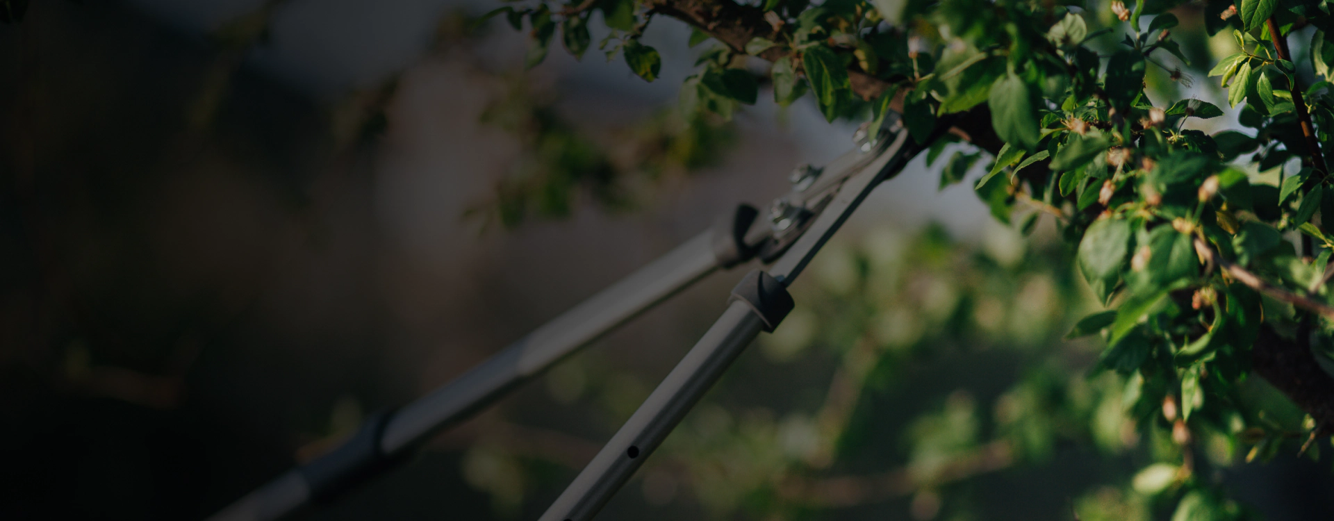 long pruning shears for tree trimming