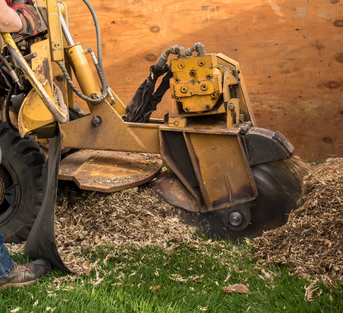 stump grinding